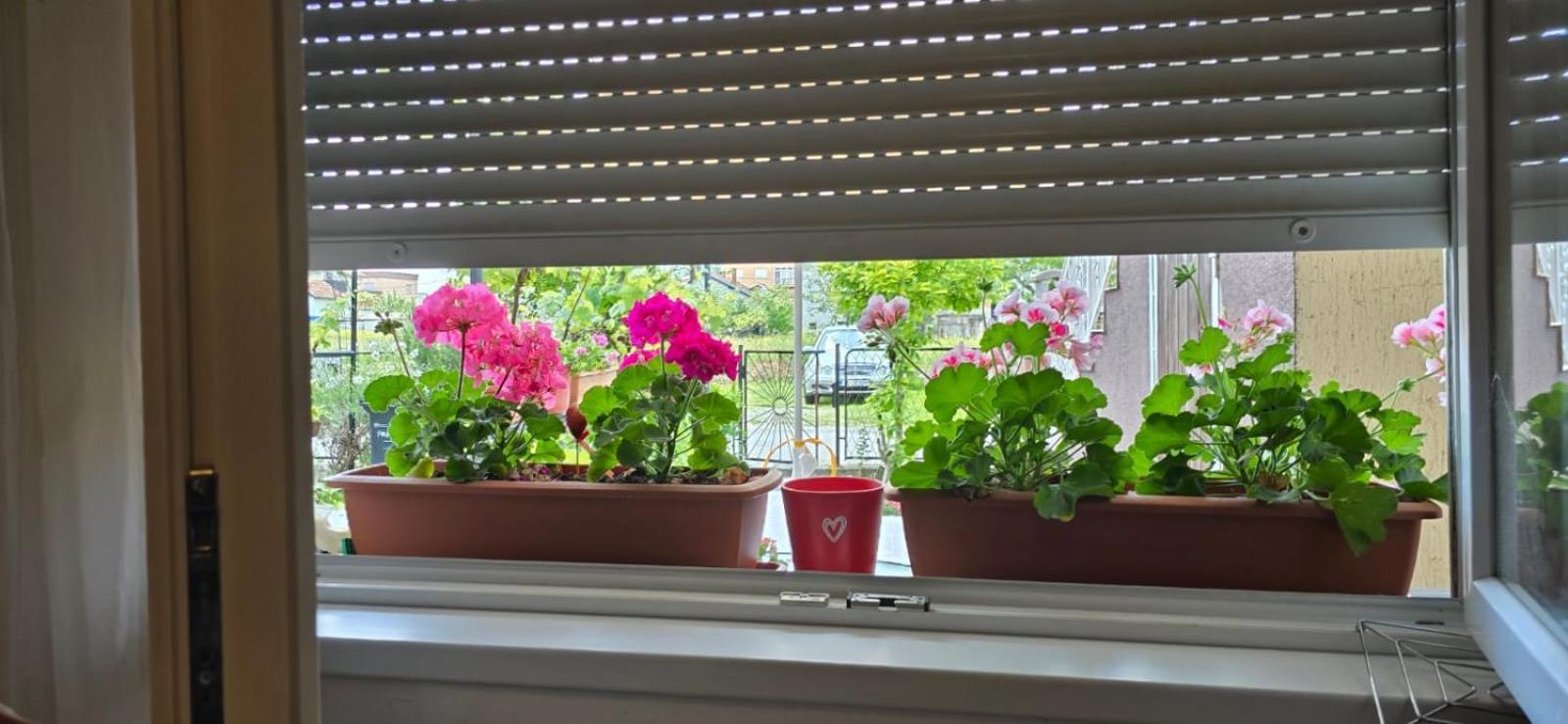 Apartman Tina Zagreb Exteriör bild